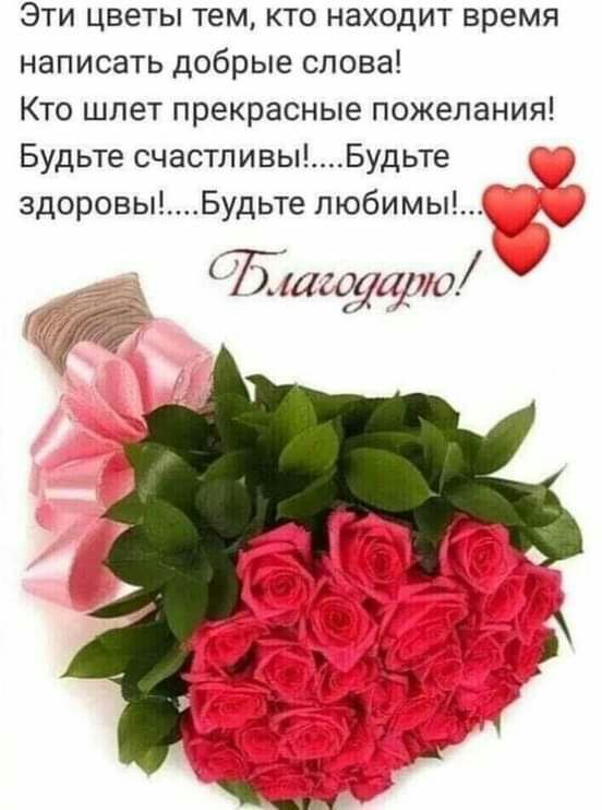 Эти цветы тем кто находит время написать добрые слова Кто шлет прекрасные пожелания Будьте счастливыБудьте здоровыБудьте любимый Ётасеуаио