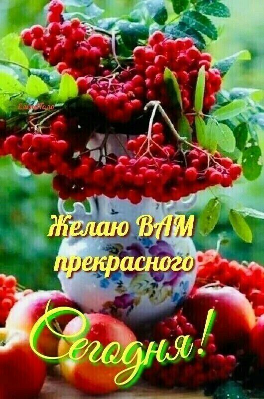 Прлаю 1   э ъ !рал;ьт:л ота