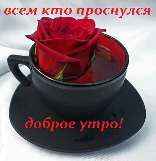 всем кто ПРОСНУЛСЯ