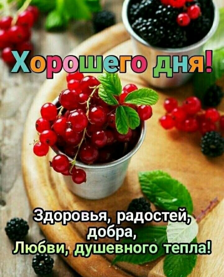 клей раде ЬЯ