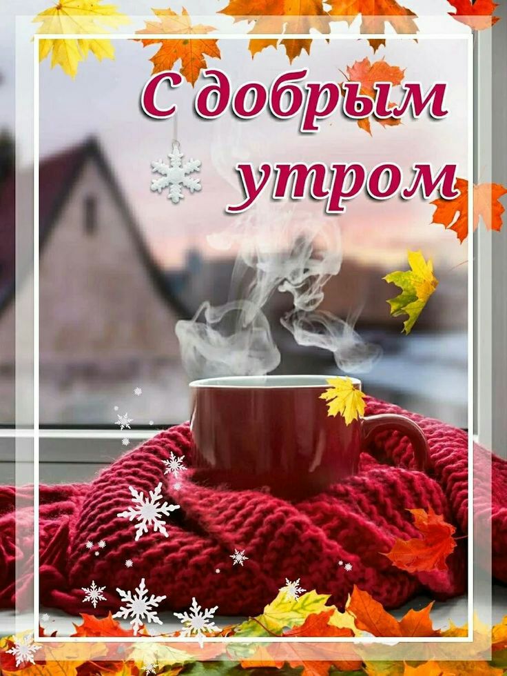 « са ч у ёёэобршэём утрому