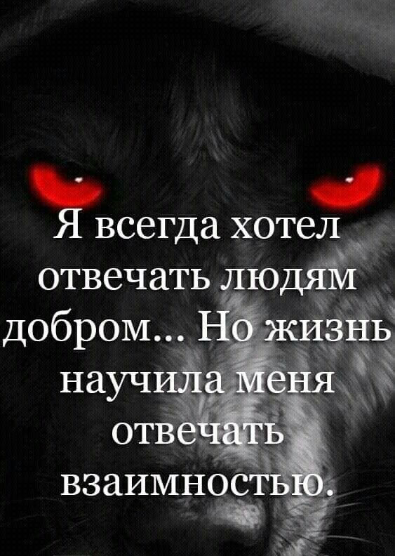 Я всегда хотел отвечать лю