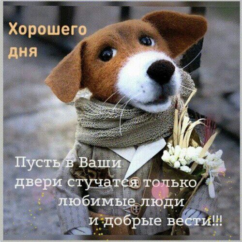Хорошего _