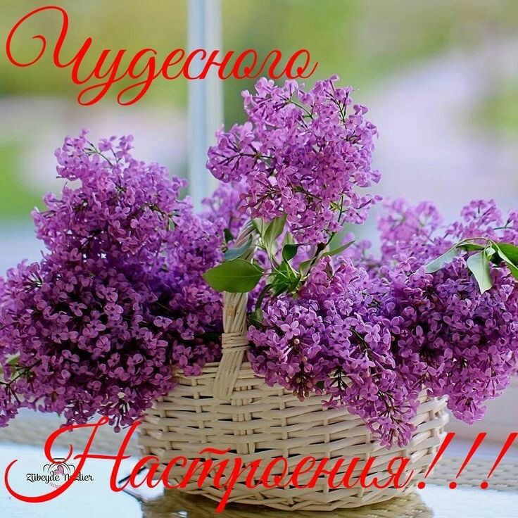 Об