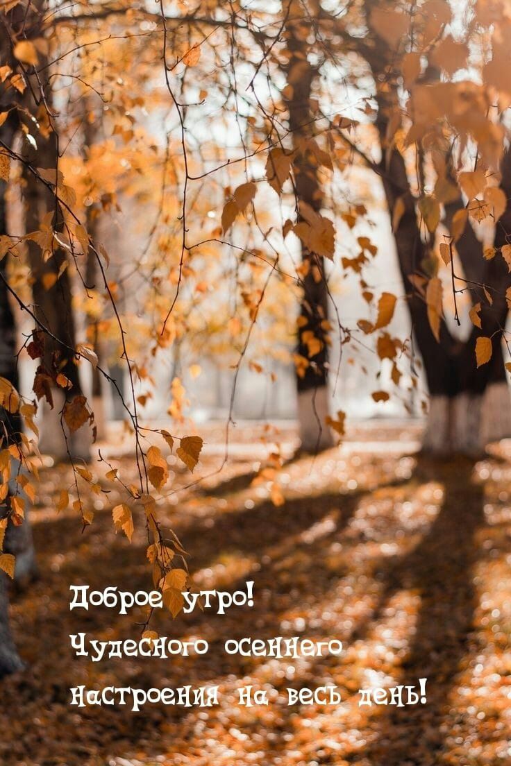 ЧУдесноф оса Настроешііё В