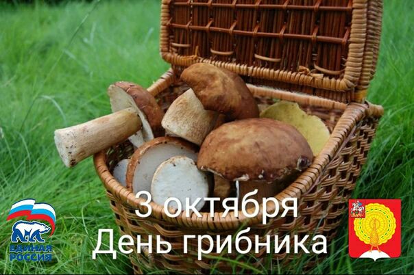 . Грибника 7 оденьгр