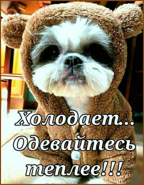 110 авт деваштесь