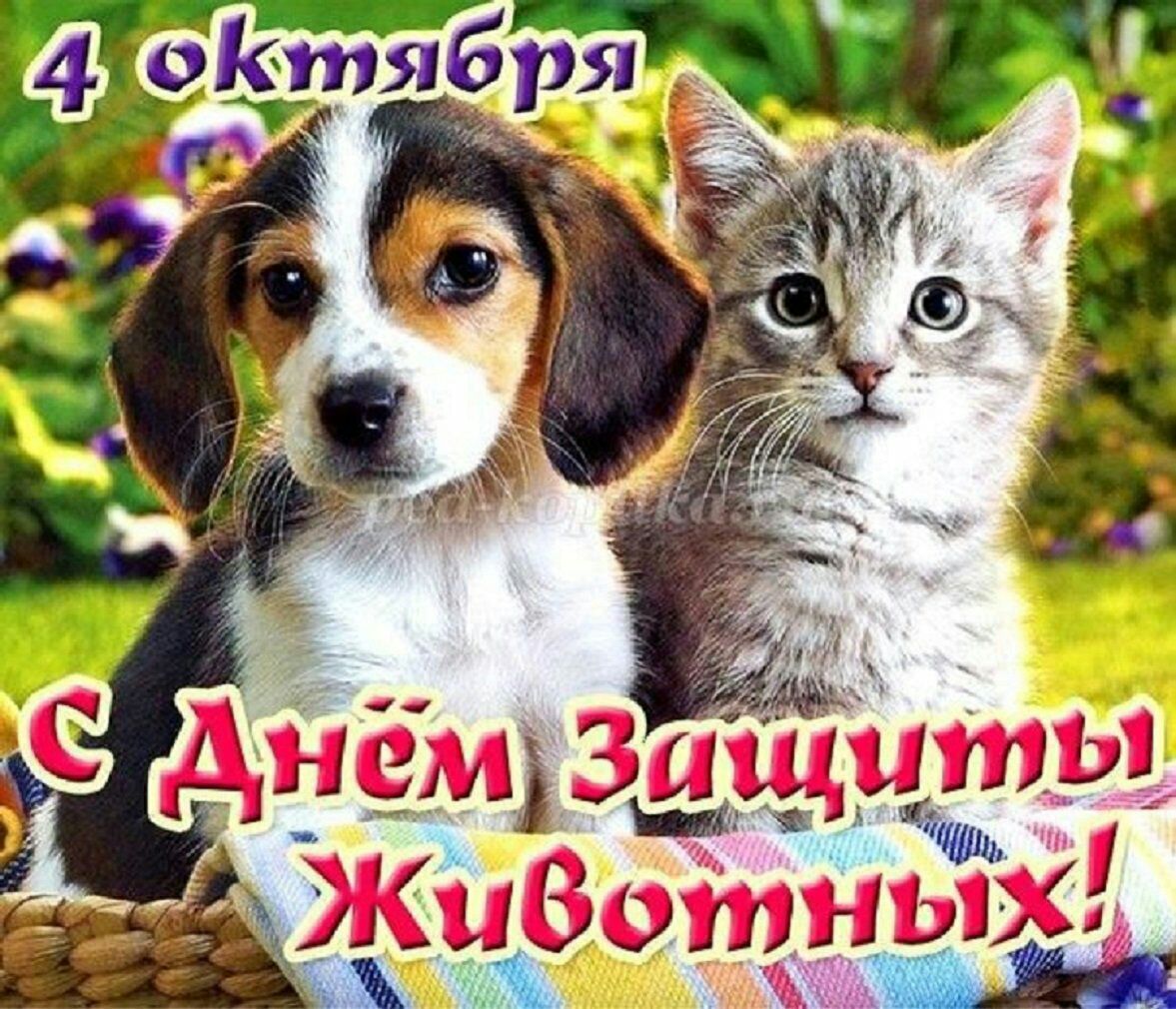 Кшітш