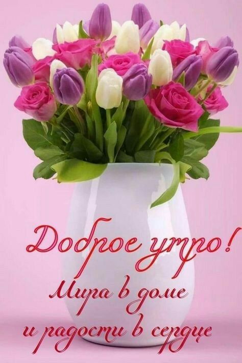 32959 Нет 12070 мгёуасгёгмё гУгж 4 40 т ёЁ71135Ц