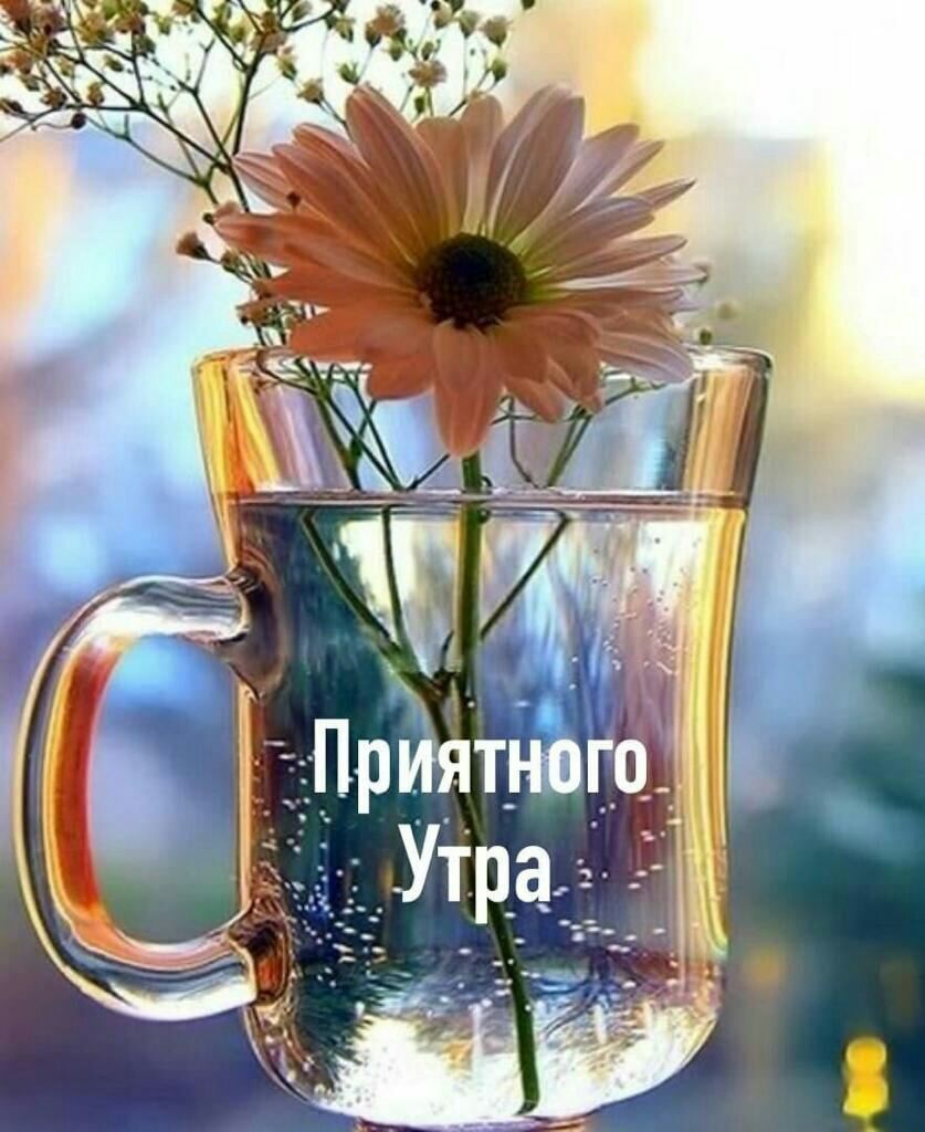 н _ _ _ 7 м _ ___ Ч _ 5 т Пр иятвб