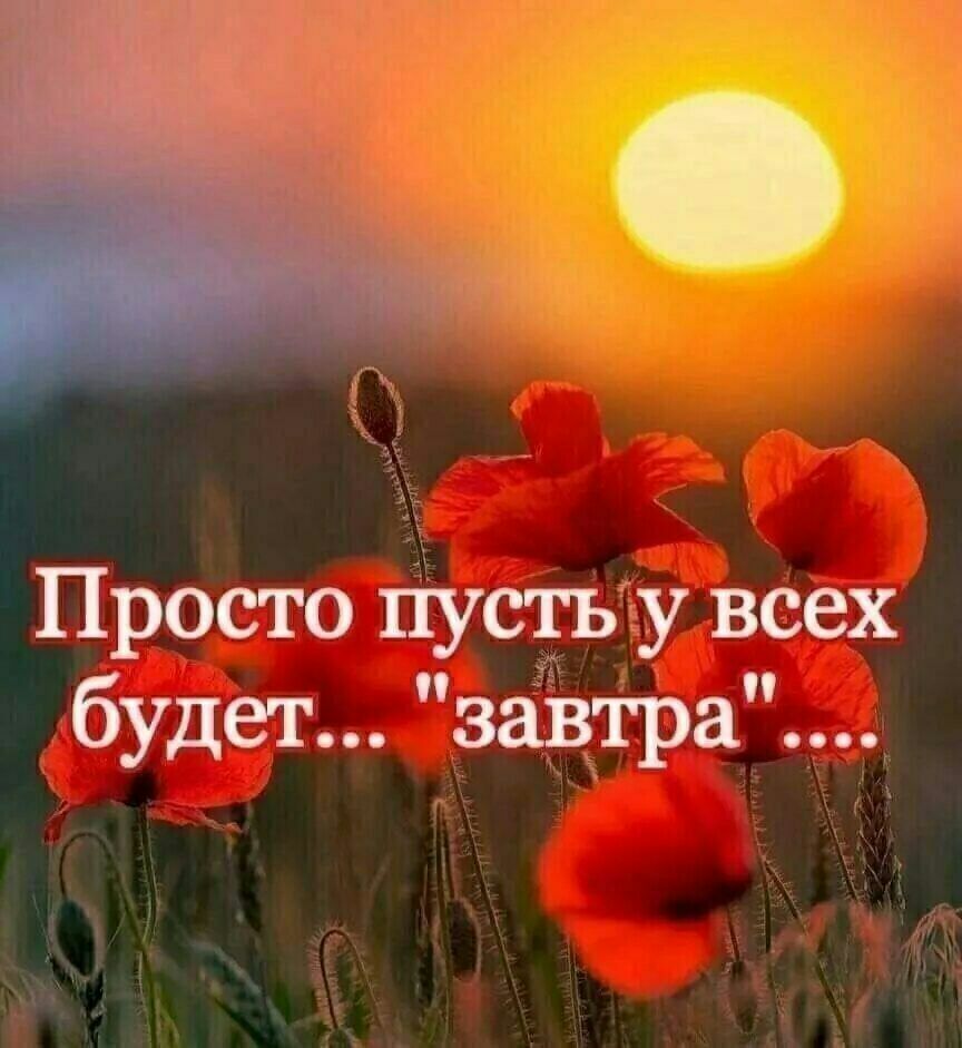 1 5 Просто пусть у всех будет завтра 9 1 1 а