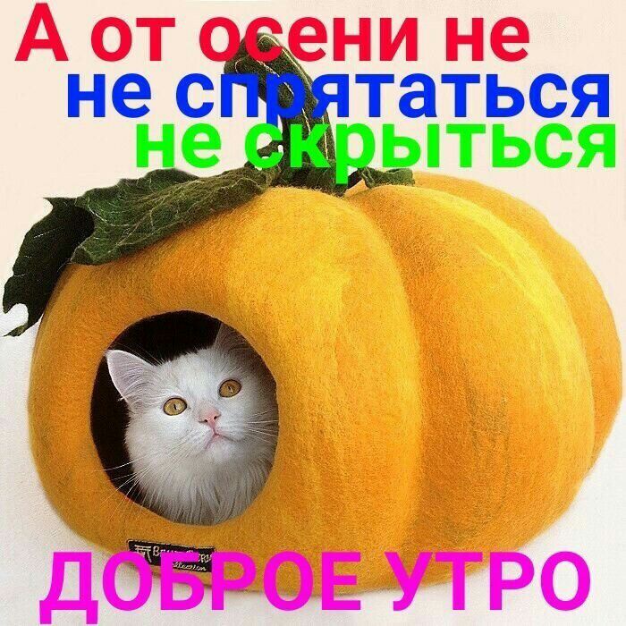 дгтаться ыться