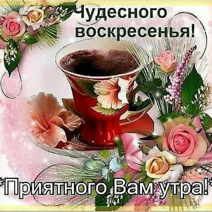 Удесногод НУЬЯ и и Приятдівтіщодгад ТггФП