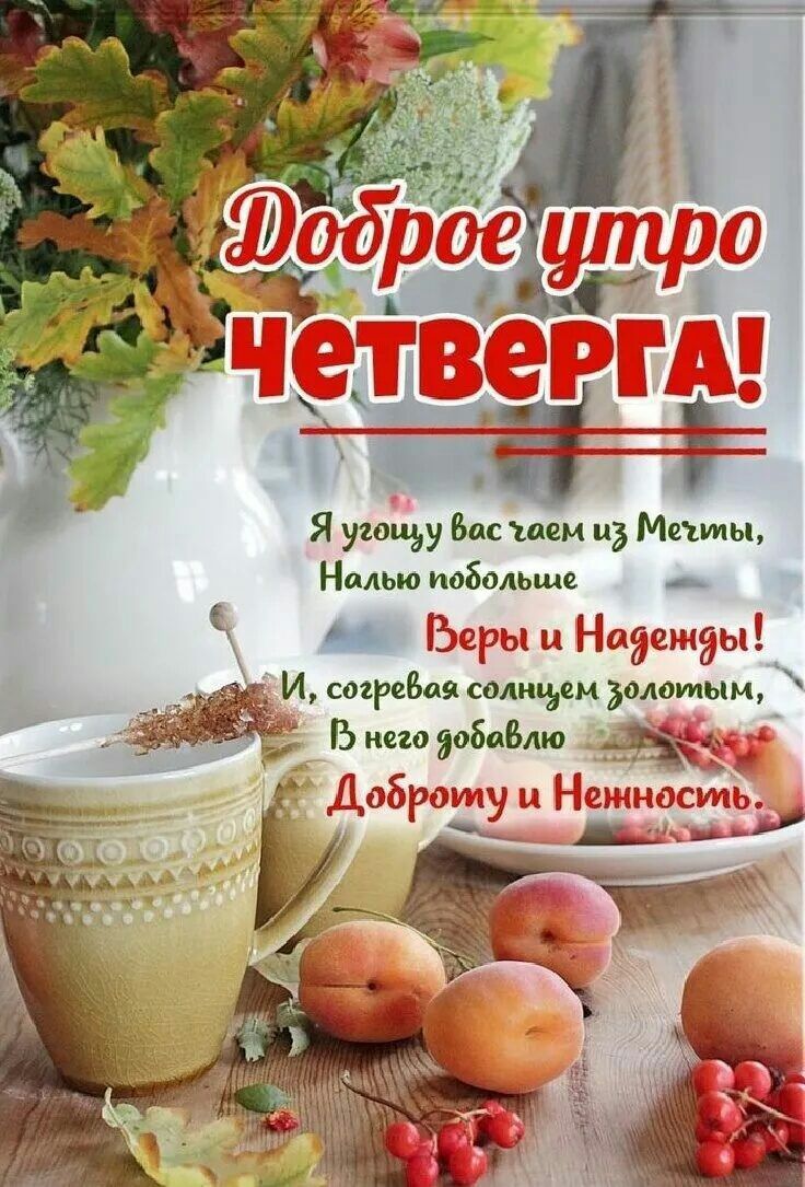 Я ути Вии шем и Мп ты Налыо иоболыме іЪедоы и Наащнды В него 306061 ЁЁ я Ъ Нейратлу и П Бшннеэсшеъ щим И созреёая саднъэсм тупым