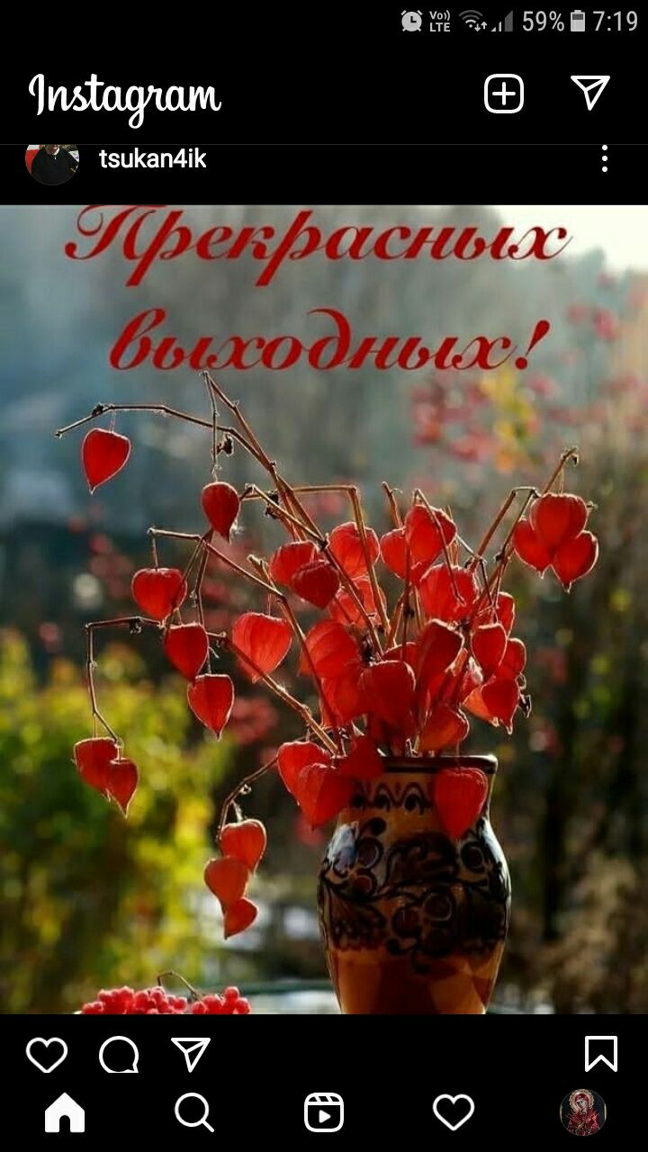 в 32 59 719 Чип 3 ізиКаМіК Чфеьвислом дышамыс _