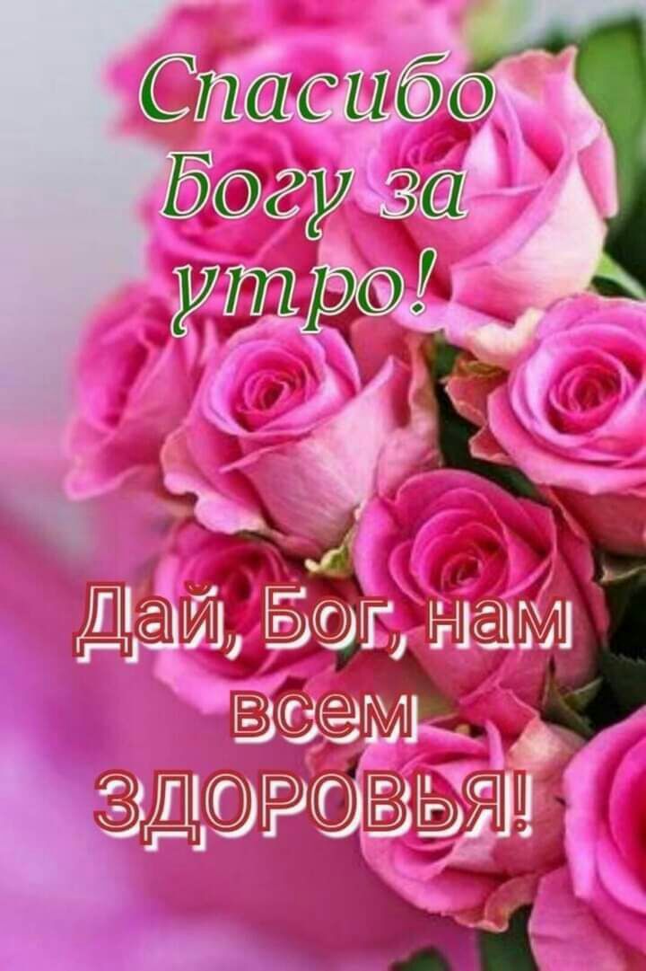 С пас ибо Бу за идбшыдд