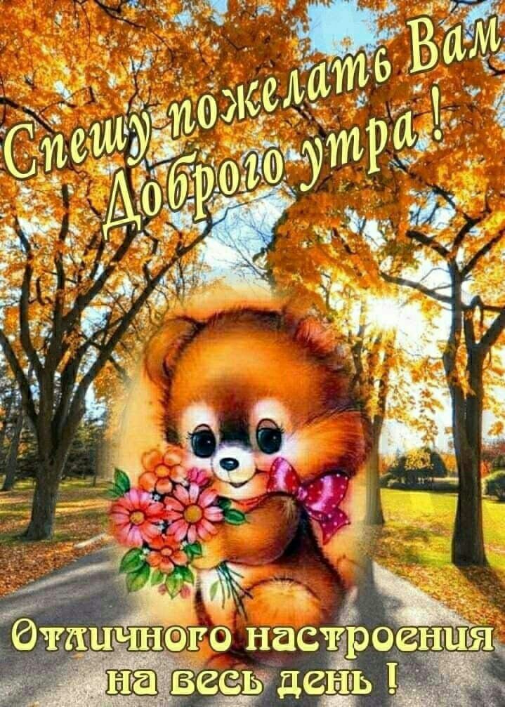 о настдэоенищ _гшьдгшэж