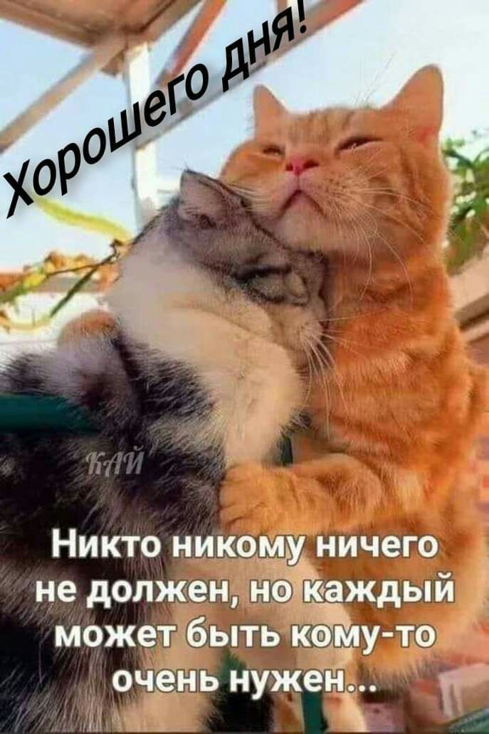 Никто никому ничего не должен ноіійаждыи может быть кому то очень нужен