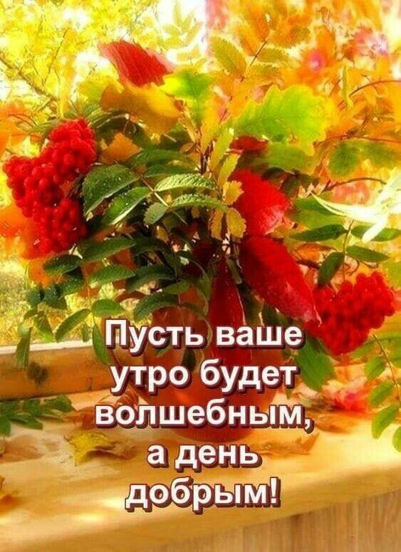 __ПУСТЬ выде утро будет волшебным 3 гены