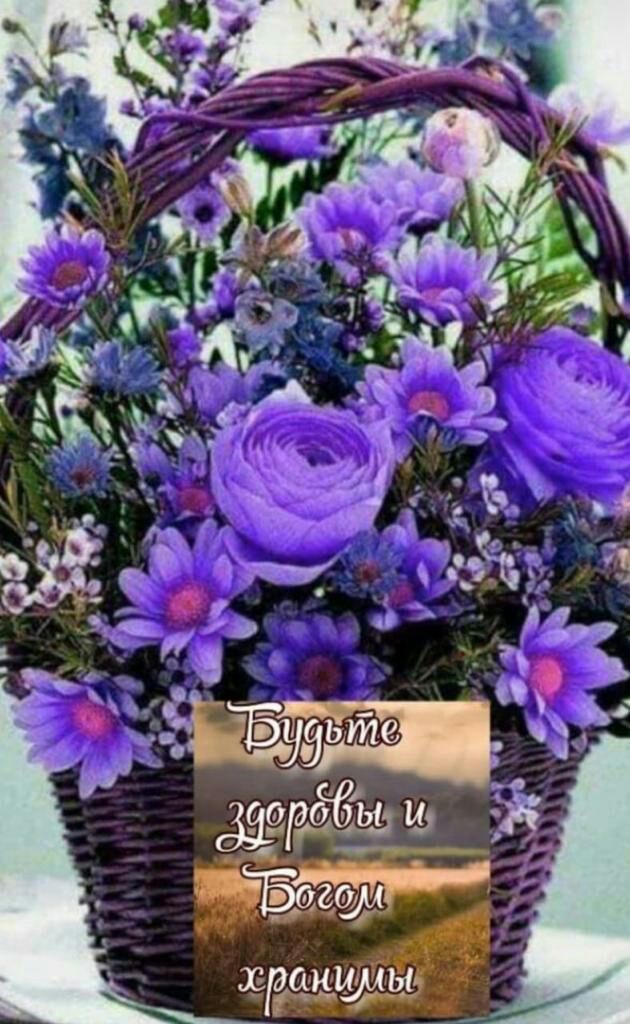 цшпш