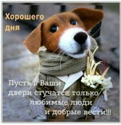 стундёётолько имъЁ люди аи добрые в