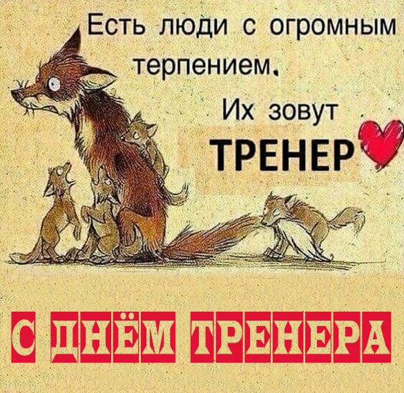 Есть люди с огромным терпением Их зовут 3 _ТРЕНЕРЧ ііпі