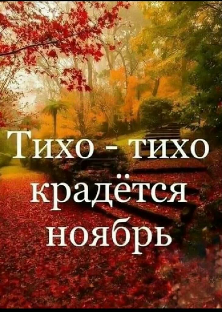 Тихо тихо крадётся ноябрь