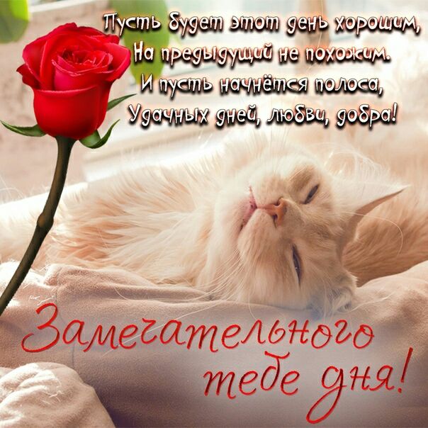 У