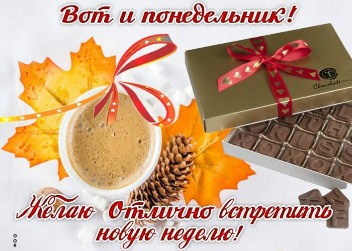 Зима и шс