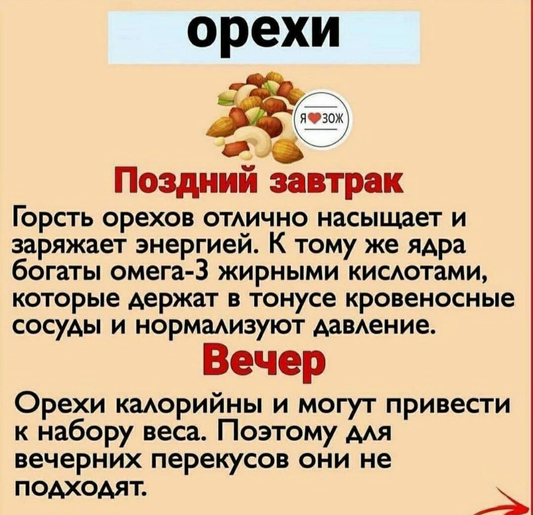 орехи до в Поздний завтрак Горсть орехов отмчно насыщает и заряжает энергией К тому же ядра богаты омега 3 жирными кисютами которые держат в тонусе кровеносные сосуды и нормаизуют Аавение Вечер Орехи каА0рийны и могут привести к набору веса Поэтому мя вечерних перекусов они не ПОАХОАЯТ