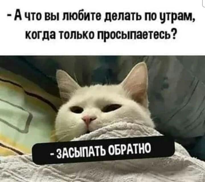 А что вы любите делать по шрам когда только просыпаетесь ОБРАТНО