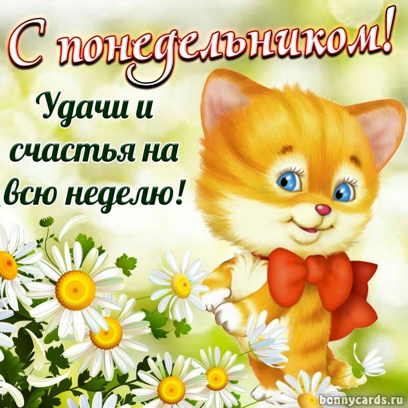 С Ууачис и