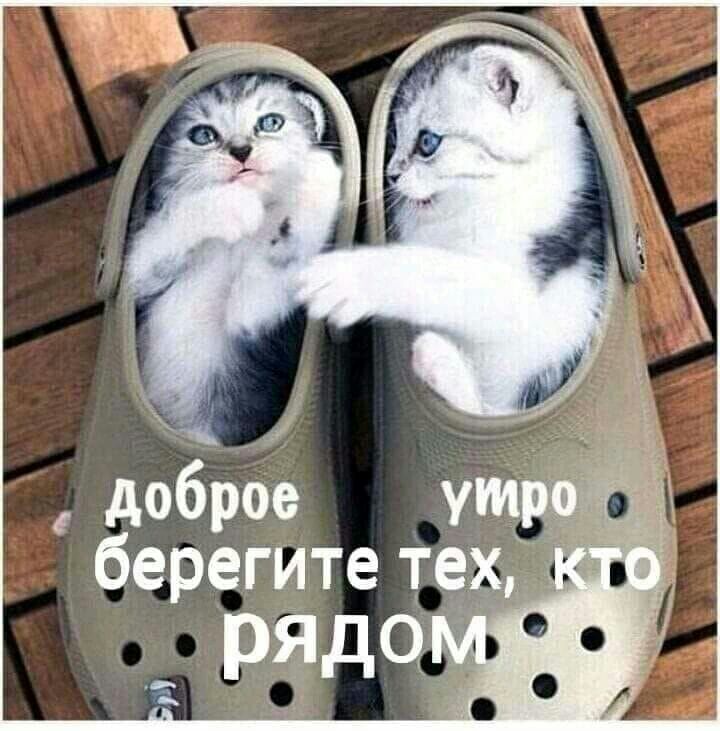 доброе берегите тех