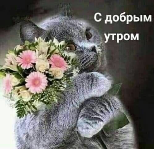 С добрым тж
