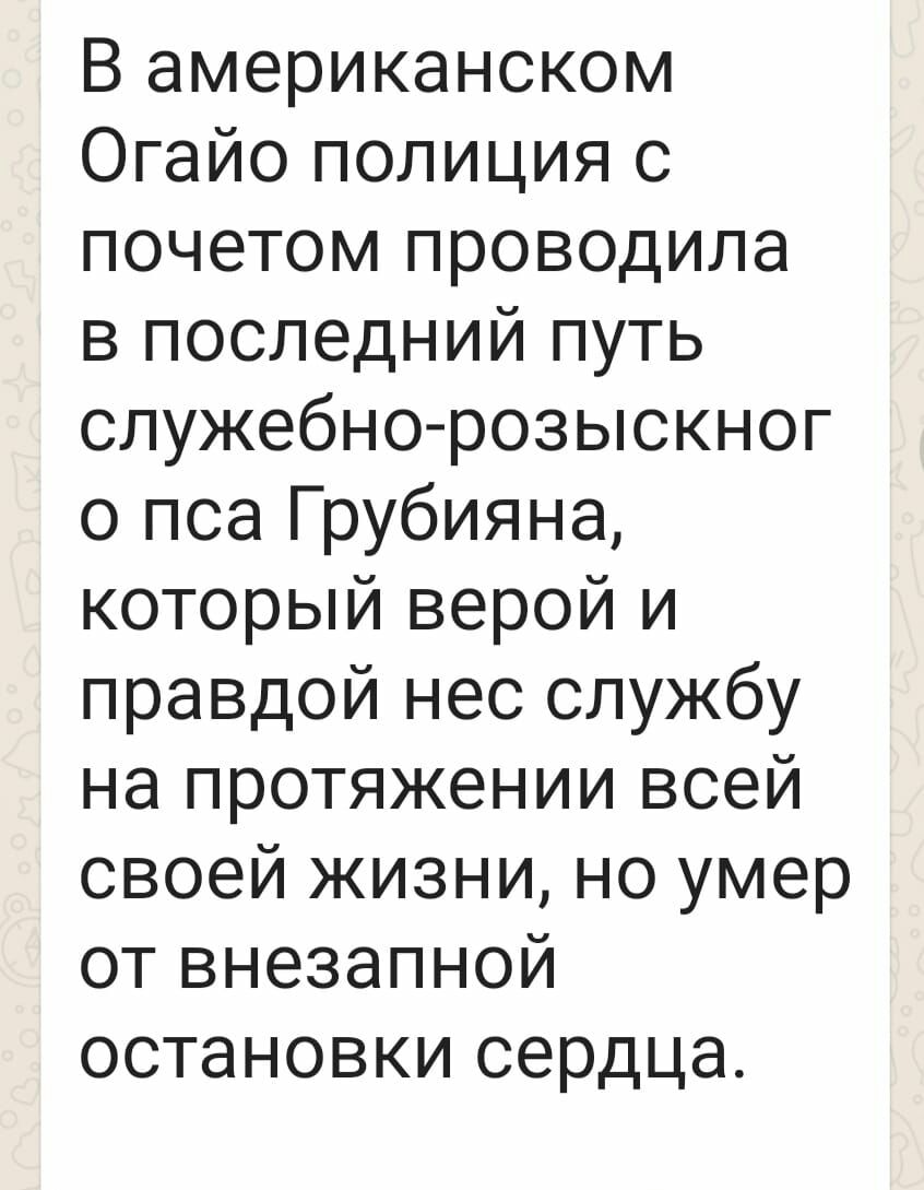 В американском Огайо полиция с почетом проводила в последний путь спужебно розыскног о пса Грубияна который верой и правдой нес службу на протяжении всей своей жизни но умер от внезапной остановки сердца