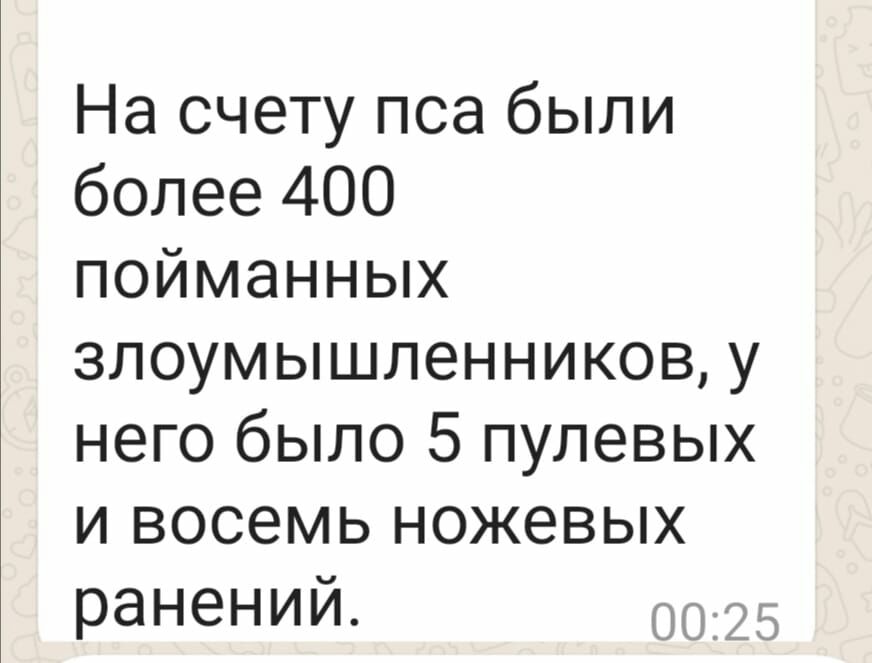 На счету пса были более 400 пойманных злоумышленников у него было 5 пулевых и восемь ножевых ранений 002 Д к