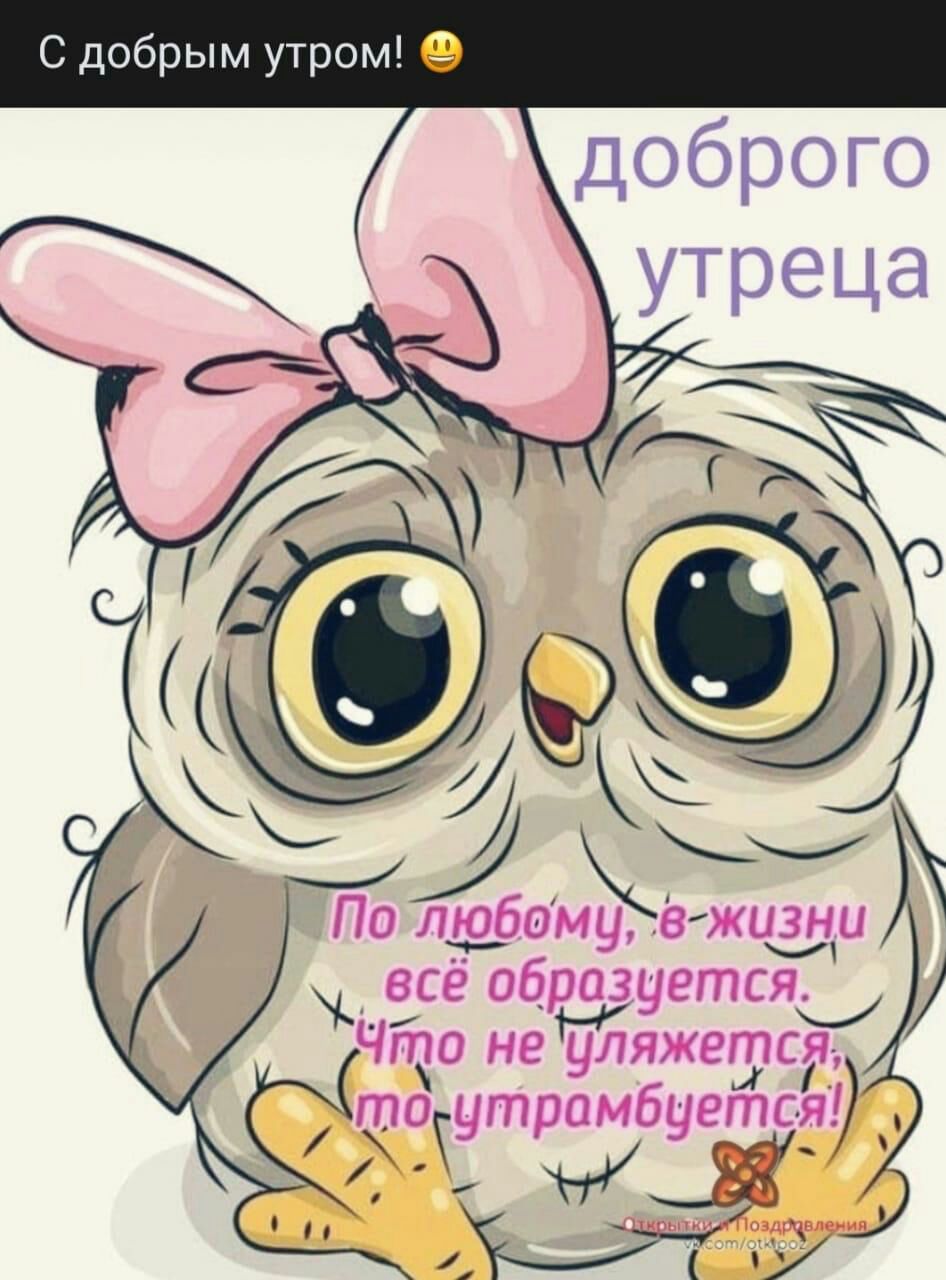 С добрым утром Доброго По лдфомъвжидди _Ёсе обрудуетсяы Что не уляжется утрамбуется