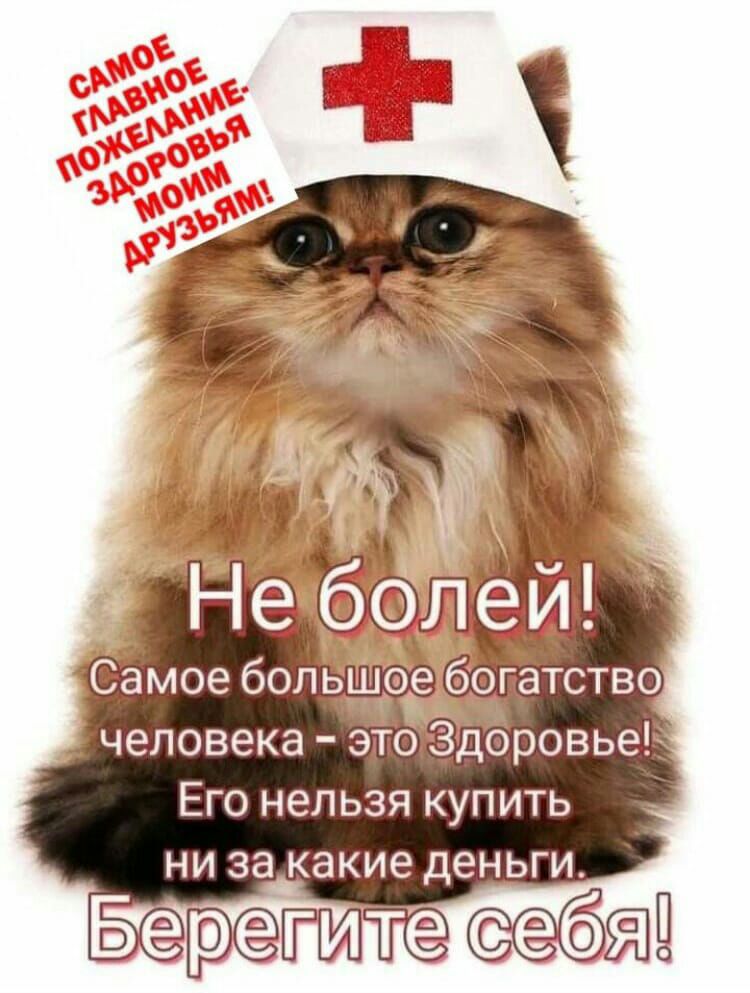 ЕГО НЕЛЬЗЯ КУПИТЬ НИ за какие деньги