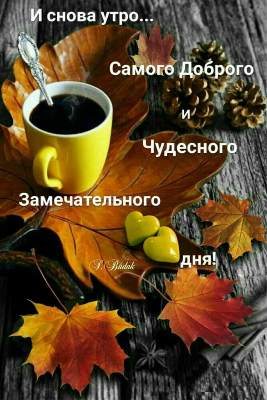 Замёчаёельного _ _ М