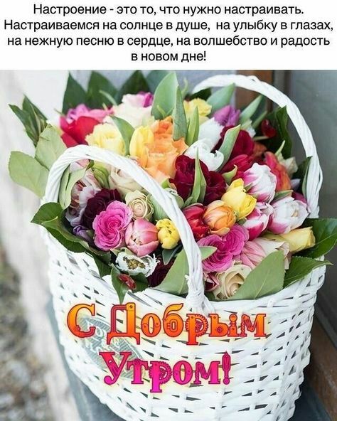 Настроение _ это то что нужно настраивать Настраиваемся на солнце в душе не улыбку в глазах на нежную песню в сердце на волшебство и радость в новом дне ОЩЁГЛ