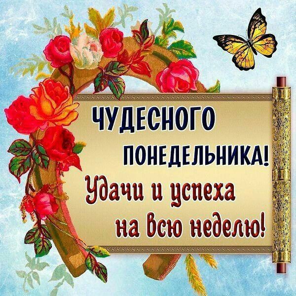 ЧУДЕСНОГО ПОНЕДЕЛЬНИКА Ндачи и цепеха на Всю неделю