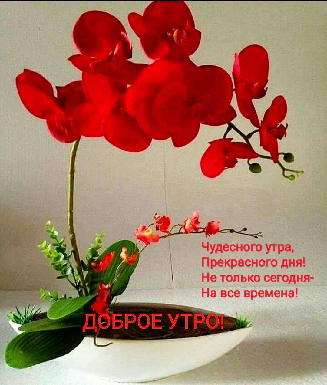Р _Т О Р