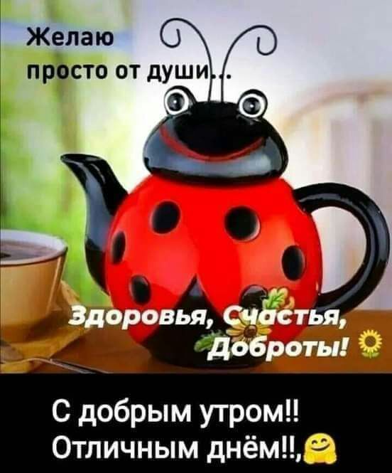Желаю просто от души С добрым утром Отличным днёме