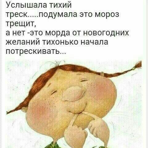 Услышала тихий треск подумала это мороз трещит а нет это морда от новогодних желаний тихонько начала потрескивать