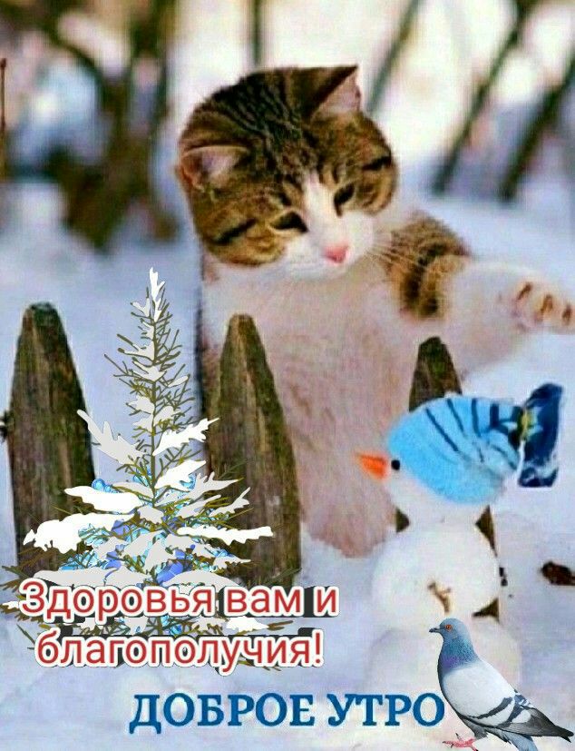 оровьаёамш 4 ЛЭПОПОЛУЫИЯ из из и