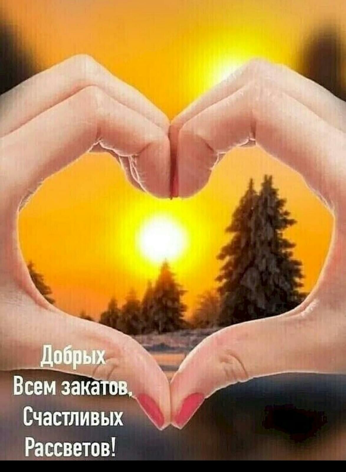 Всемьзака Счастливых Рассветов