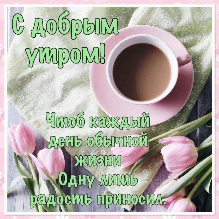 6 йы'г
