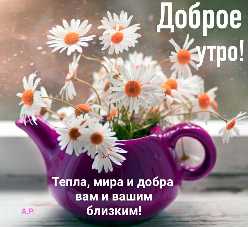 Тепла Мира и добра вам и вашим близким