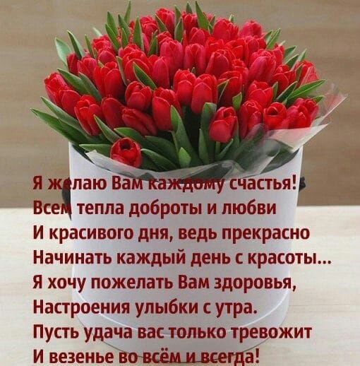 _ Мы чгч Еси тепла доброты и любви И красивого дня ведь прекрасно Начинать каждый день с красоты Я хочу пожелать Вам здоровья Настроения улыбки утра Пусть удача вас только тревожит И везенье вовсемщеегд