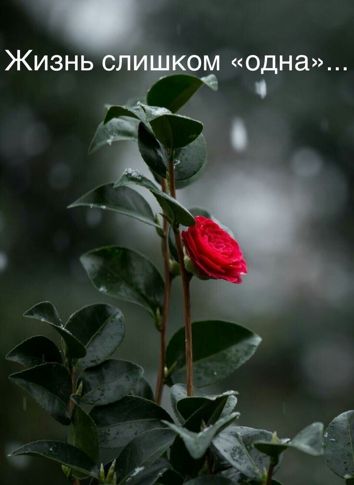 М одна